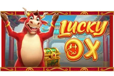 win36 cá cược bóng đá V.League